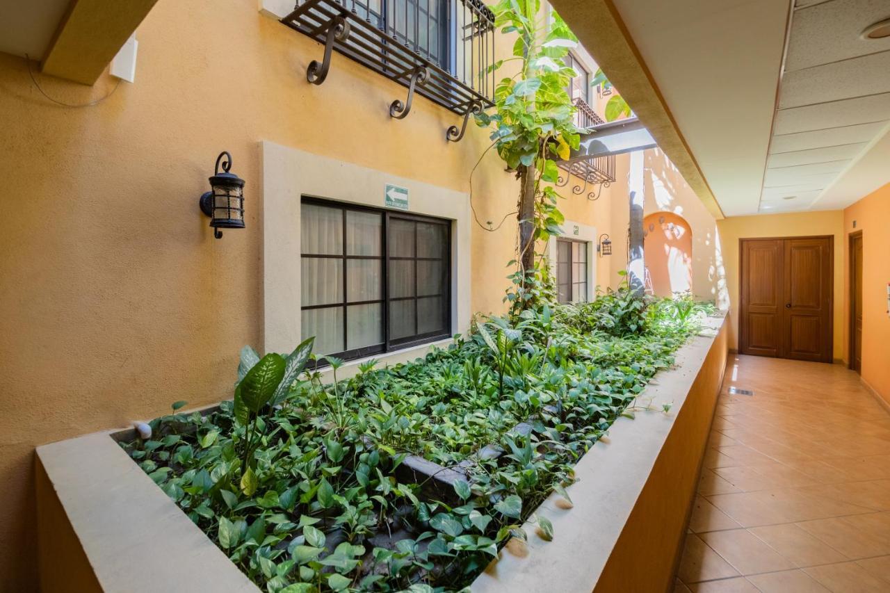 Hotel Colli San Jose del Cabo Ngoại thất bức ảnh