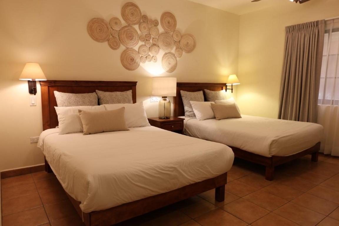 Hotel Colli San Jose del Cabo Ngoại thất bức ảnh