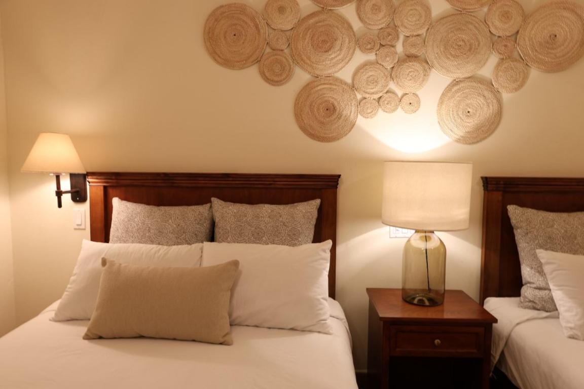 Hotel Colli San Jose del Cabo Ngoại thất bức ảnh